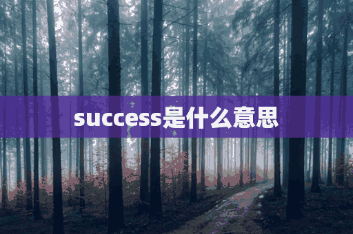 success是什么意思